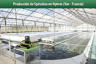 Clos Sainte AuroreProductor de Espirulina en Hyres (Francia)