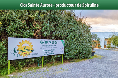 Clos Sainte Aurore Producteur de spiruline à Hyères (Var)